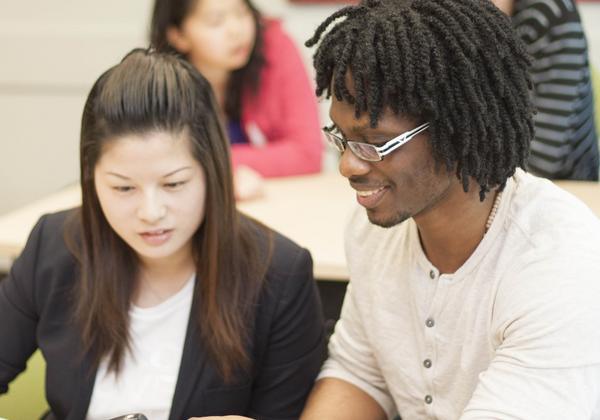 Degree in Sociology students working on a group project