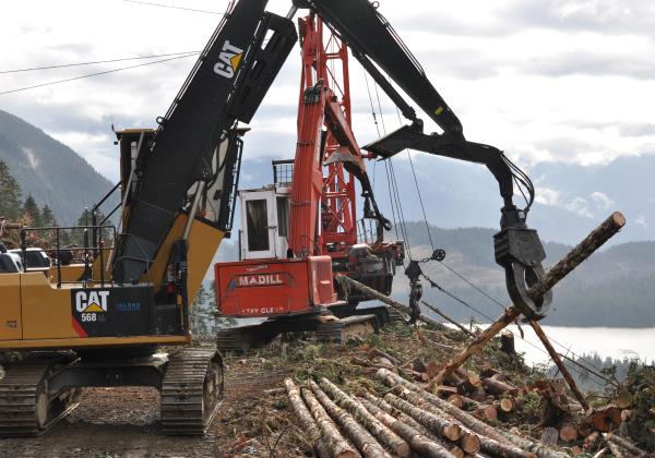 Fundamentals of Forest Harvesting Practices